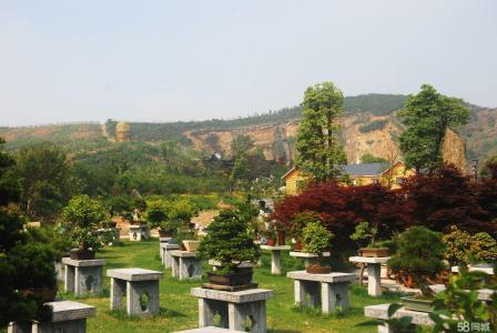 常州凤凰山龙凤墓区